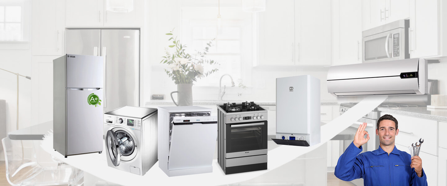 Senirkent Grundig Servisi